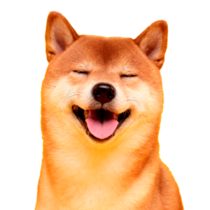 AdobeStock_312933371