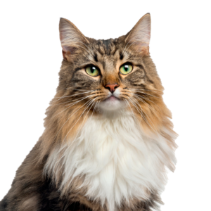 AdobeStock_179815747